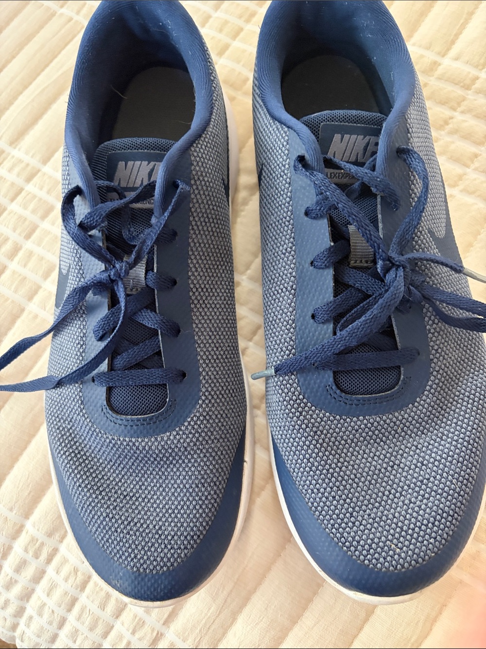 Nike women’s Blue Mesh Running Sneakers